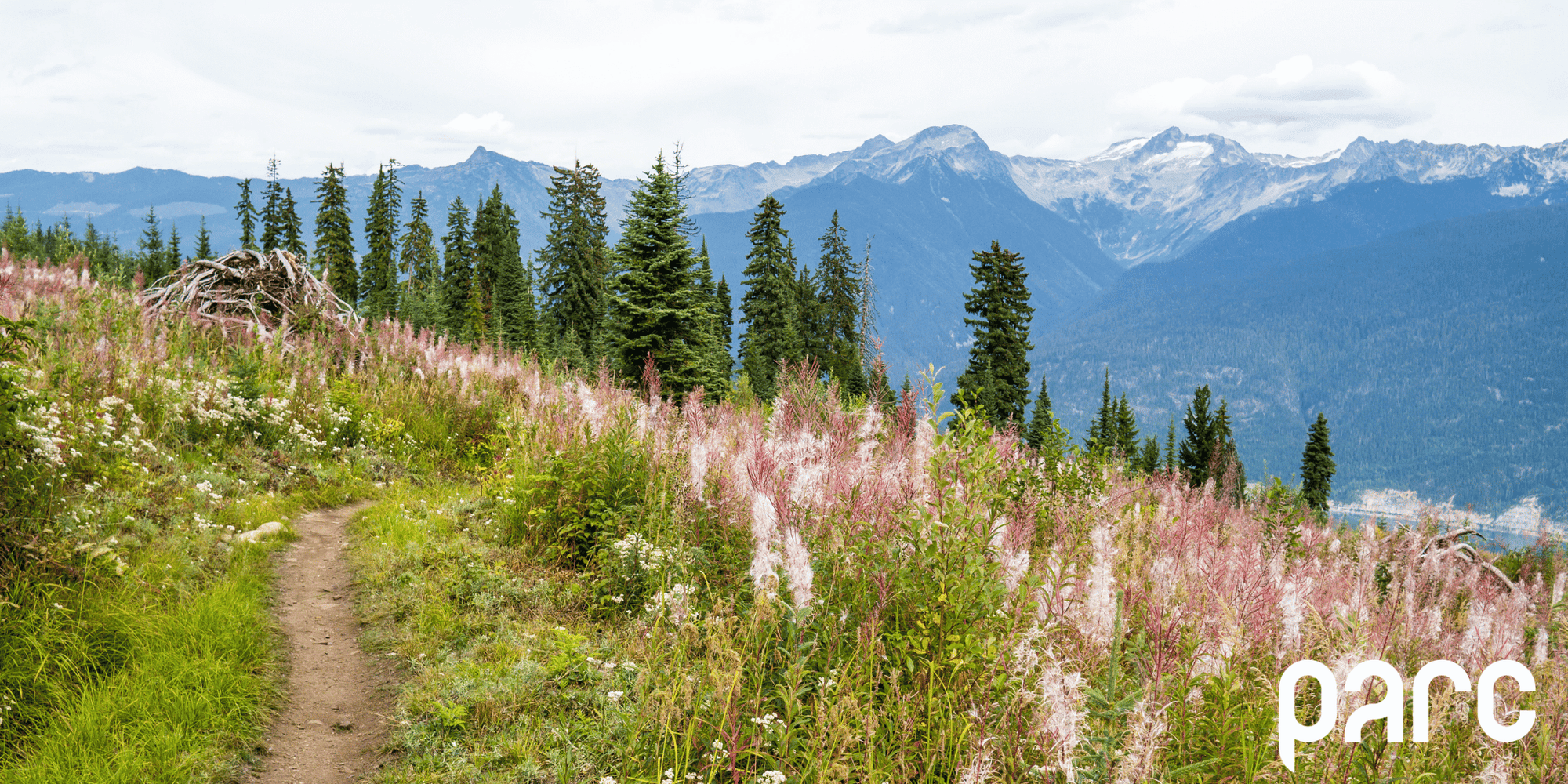 How to Find Local Mountain Bike Trails